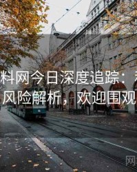 1391. 黑料网今日深度追踪：科技黑幕风险解析，欢迎围观