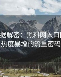 0204. 数据解密：黑料网入口网红事件热度暴增的流量密码
