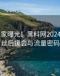 0901. 独家曝光！黑料网2024年2月粉丝后援会与流量密码