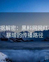 1207. 数据解密：黑料网网红事件热度暴增的传播路径