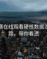 每日大赛在线观看硬核数据泄露全追踪，带你看透