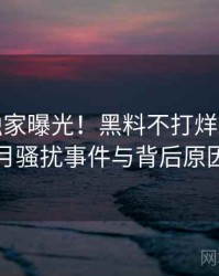 1046. 独家曝光！黑料不打烊2020年1月骚扰事件与背后原因