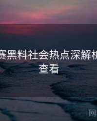 每日大赛黑料社会热点深解析，速来查看