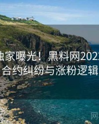 1496. 独家曝光！黑料网2022年11月合约纠纷与涨粉逻辑