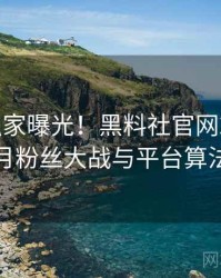 0145. 独家曝光！黑料社官网2018年6月粉丝大战与平台算法