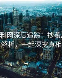 0688. 黑料网深度追踪：抄袭风波态度解析，一起深挖真相