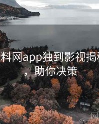 1260. 黑料网app独到影视揭秘全纪录，助你决策
