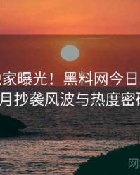 1164. 独家曝光！黑料网今日2023年10月抄袭风波与热度密码