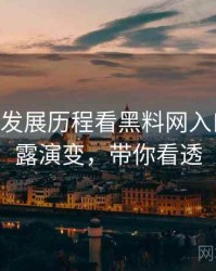 1459. 从发展历程看黑料网入口数据泄露演变，带你看透