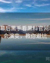 0720. 从幕后黑手看黑料官网粉丝后援会演变，教你避坑