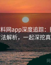 1261. 黑料网app深度追踪：抄袭风波方法解析，一起深挖真相