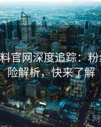 0019. 黑料官网深度追踪：粉丝大战风险解析，快来了解