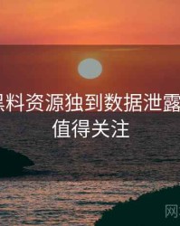 0151. 黑料资源独到数据泄露全纪录，值得关注