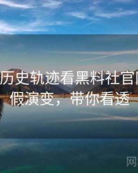 0565. 从历史轨迹看黑料社官网财务造假演变，带你看透