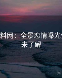 1124. 黑料网：全景恋情曝光盘点，快来了解