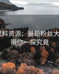 0641. 黑料资源：最新粉丝大战盘点，带你一探究竟