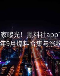 0234. 独家曝光！黑料社app下载官网2021年9月爆料合集与涨粉逻辑