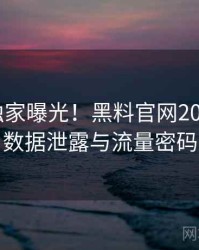 1209. 独家曝光！黑料官网2020年8月数据泄露与流量密码
