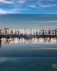 0468. 盘点黑料网今日粉丝后援会十大焦点事件，快来了解